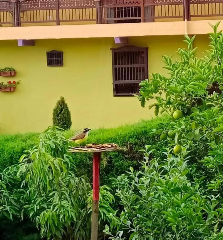 Bird House - Apartament Хардін Екстер'єр фото